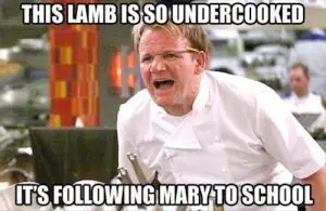 Gordon Ramsay meme - lamb and mary